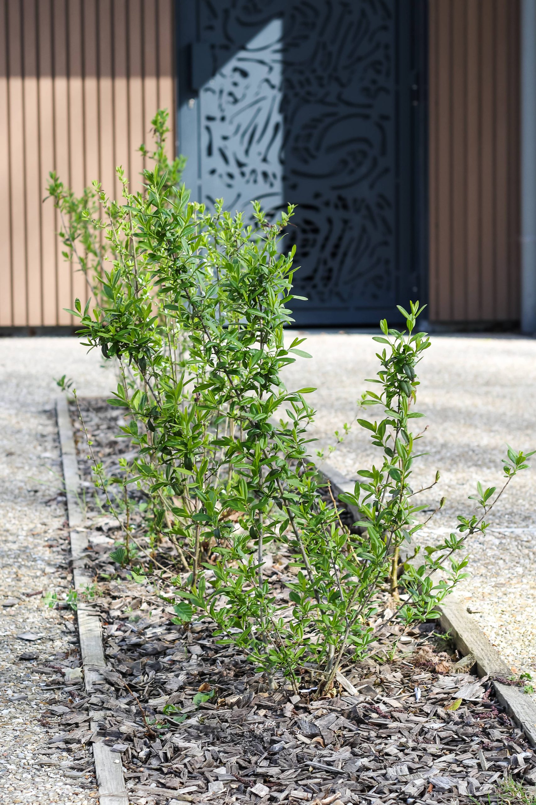 Natura plantations et aménagements