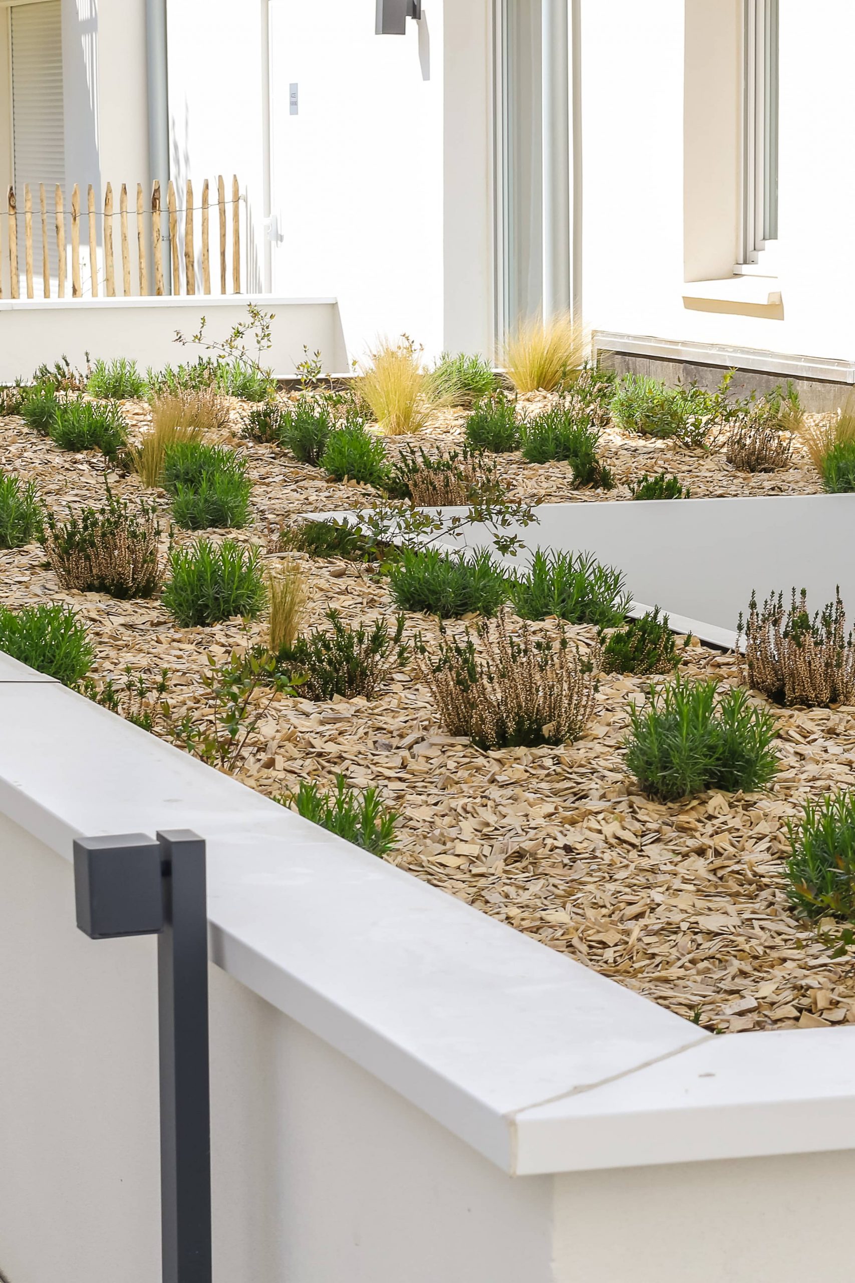 Rouen espaces verts plantation engazonnement