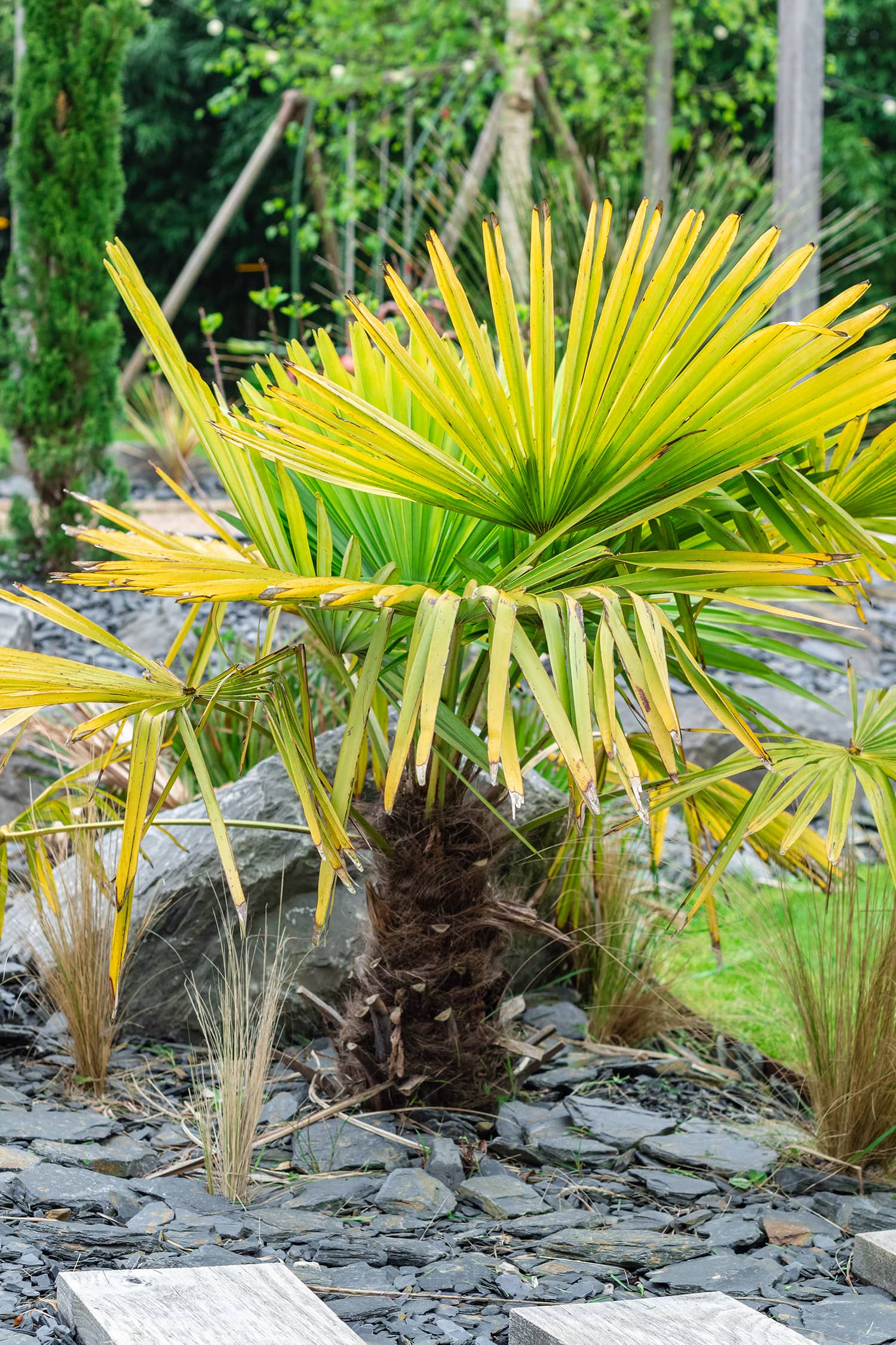 Normandie terrasse en lames d’Ipé profilées, aménagements paysagers et entretien