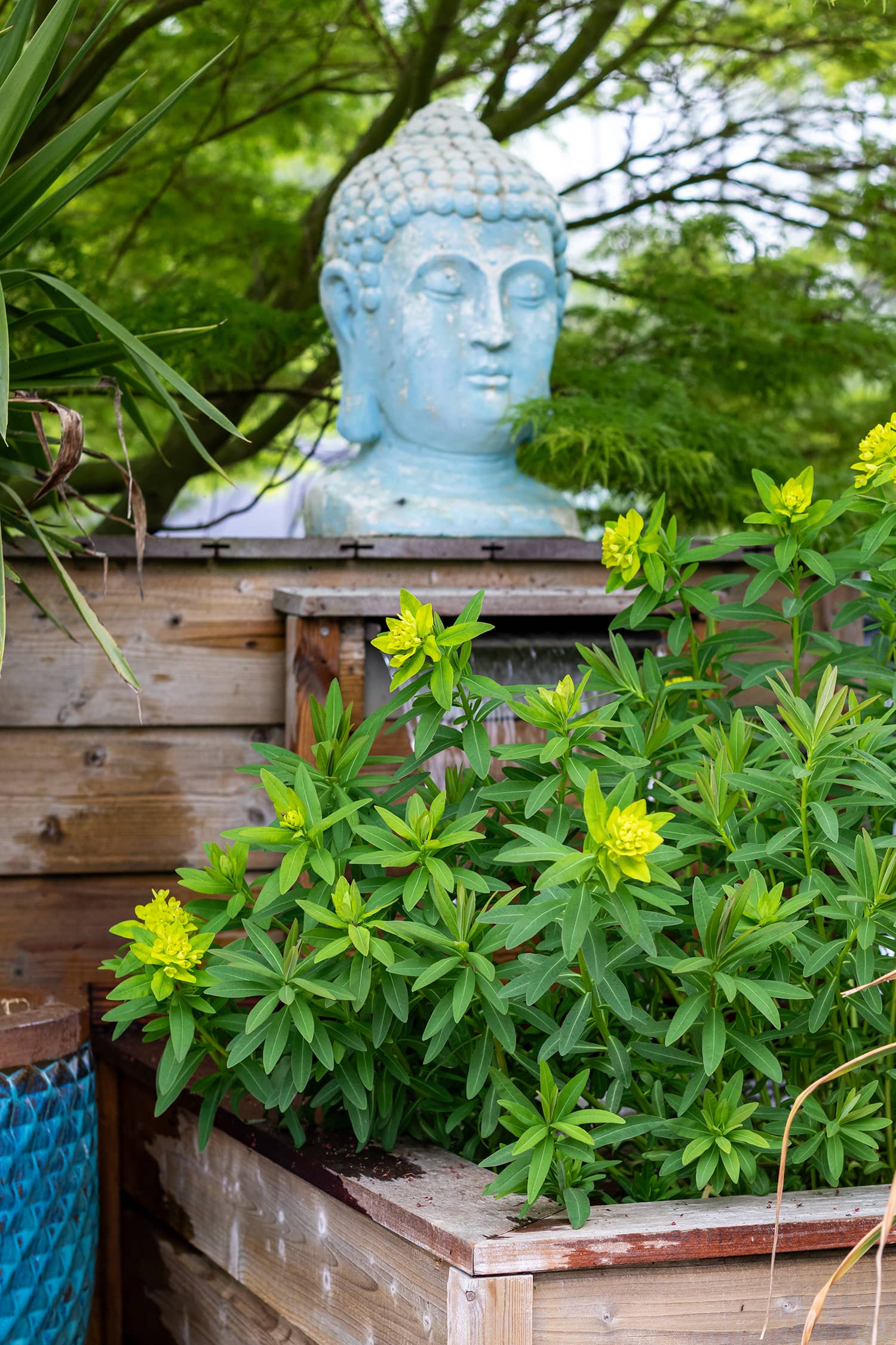 Normandie terrasse en lames d’Ipé profilées, aménagements paysagers et entretien
