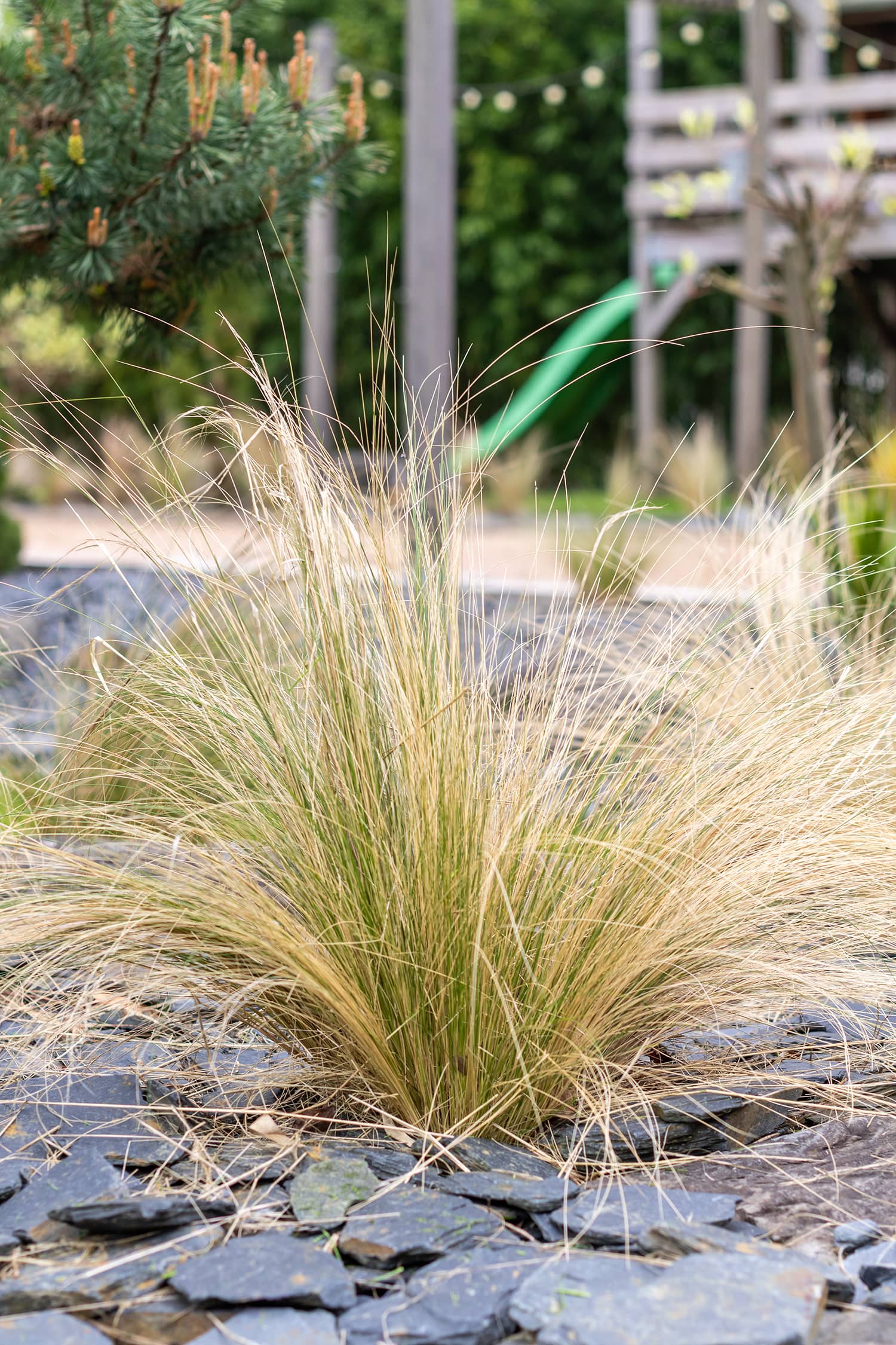 Normandie terrasse en lames d’Ipé profilées, aménagements paysagers et entretien