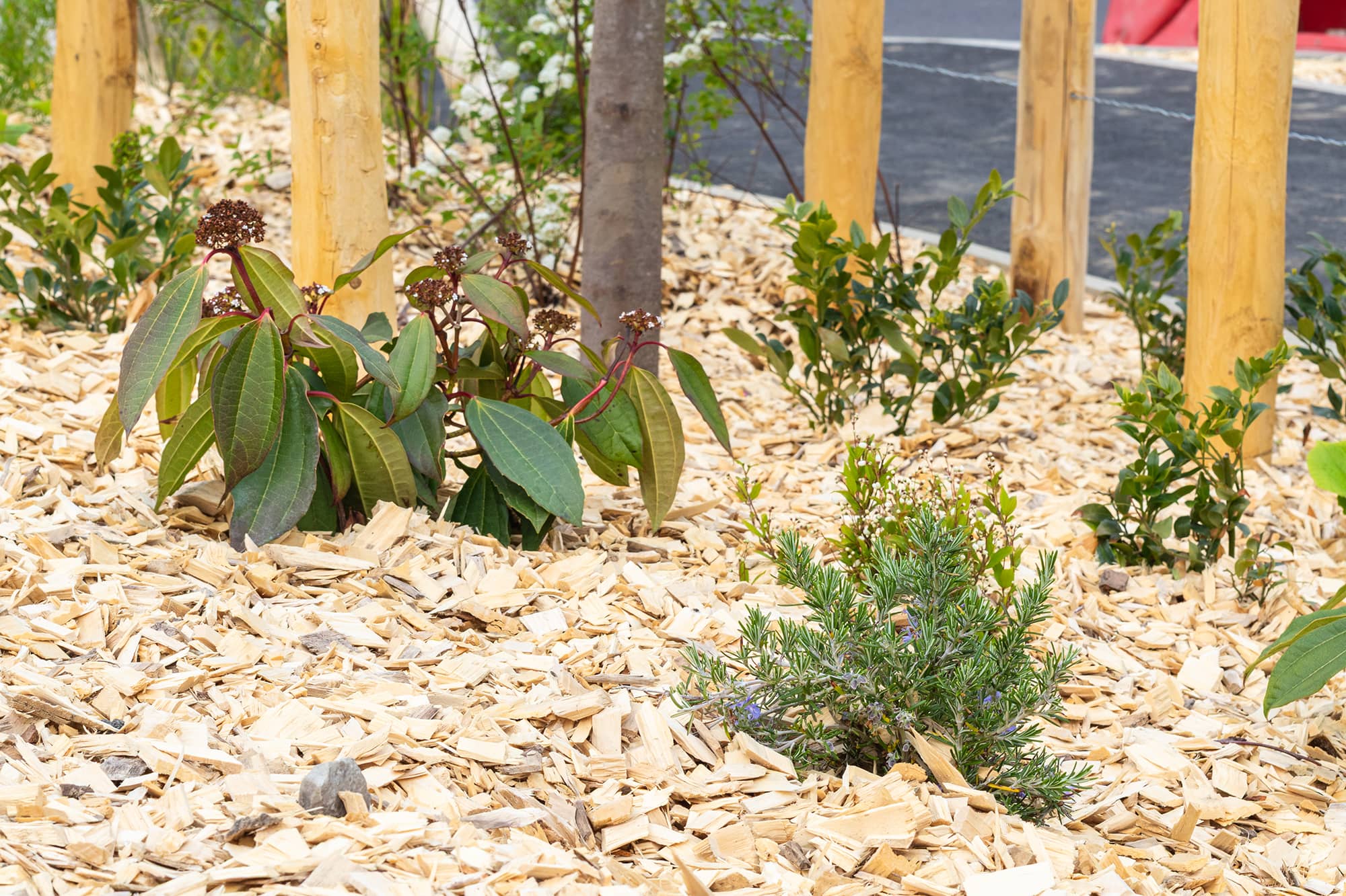 Duclair, piste cyclable aménagements paysagers et urbains