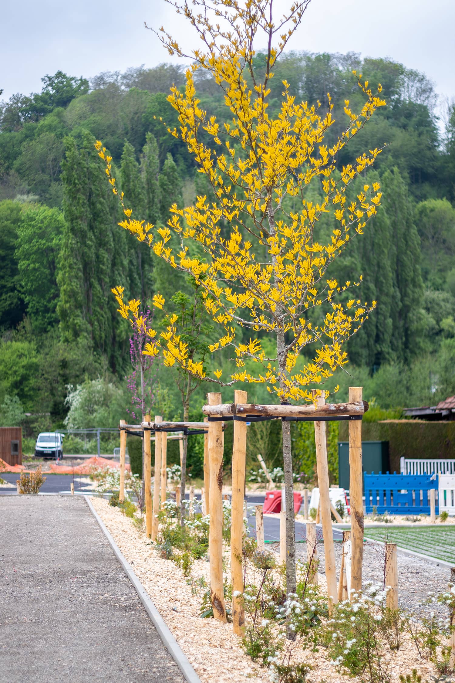 Duclair, piste cyclable aménagements paysagers et urbains