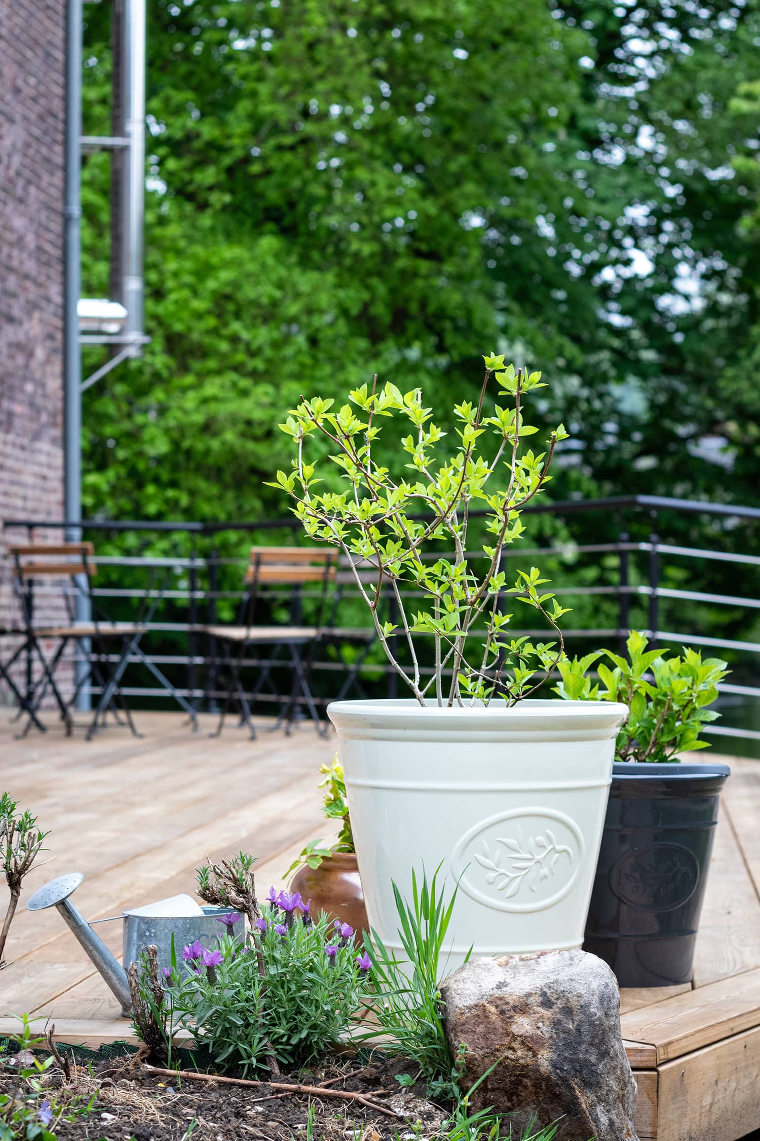 Normandie terrasse en Mélèze au dessus de l’eau