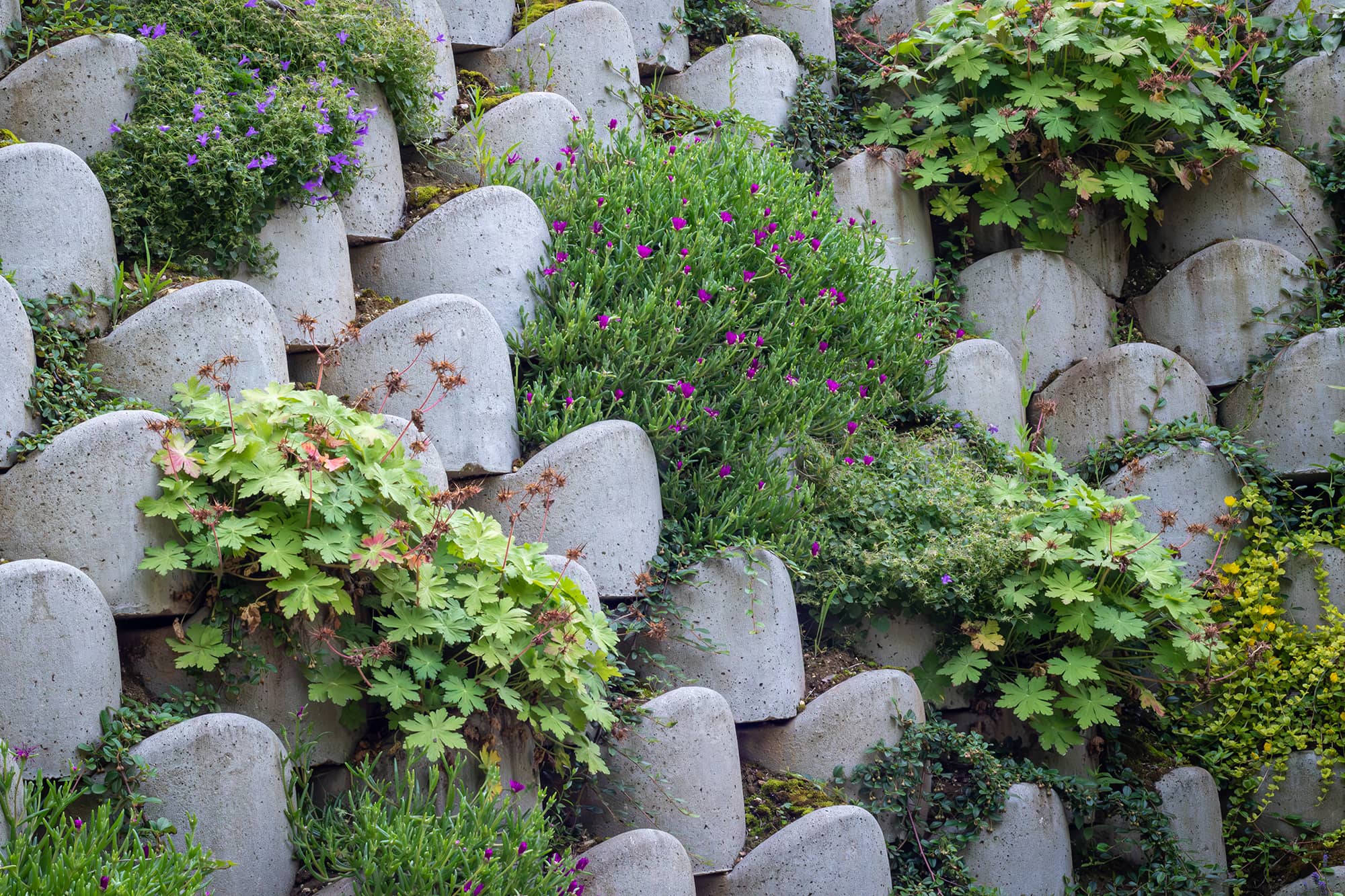 Mont Saint Aignan espaces verts soutènement clôtures