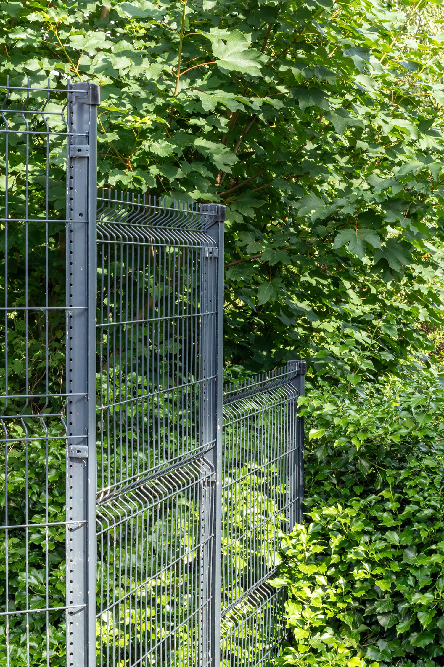 Mont Saint Aignan résidence clôtures