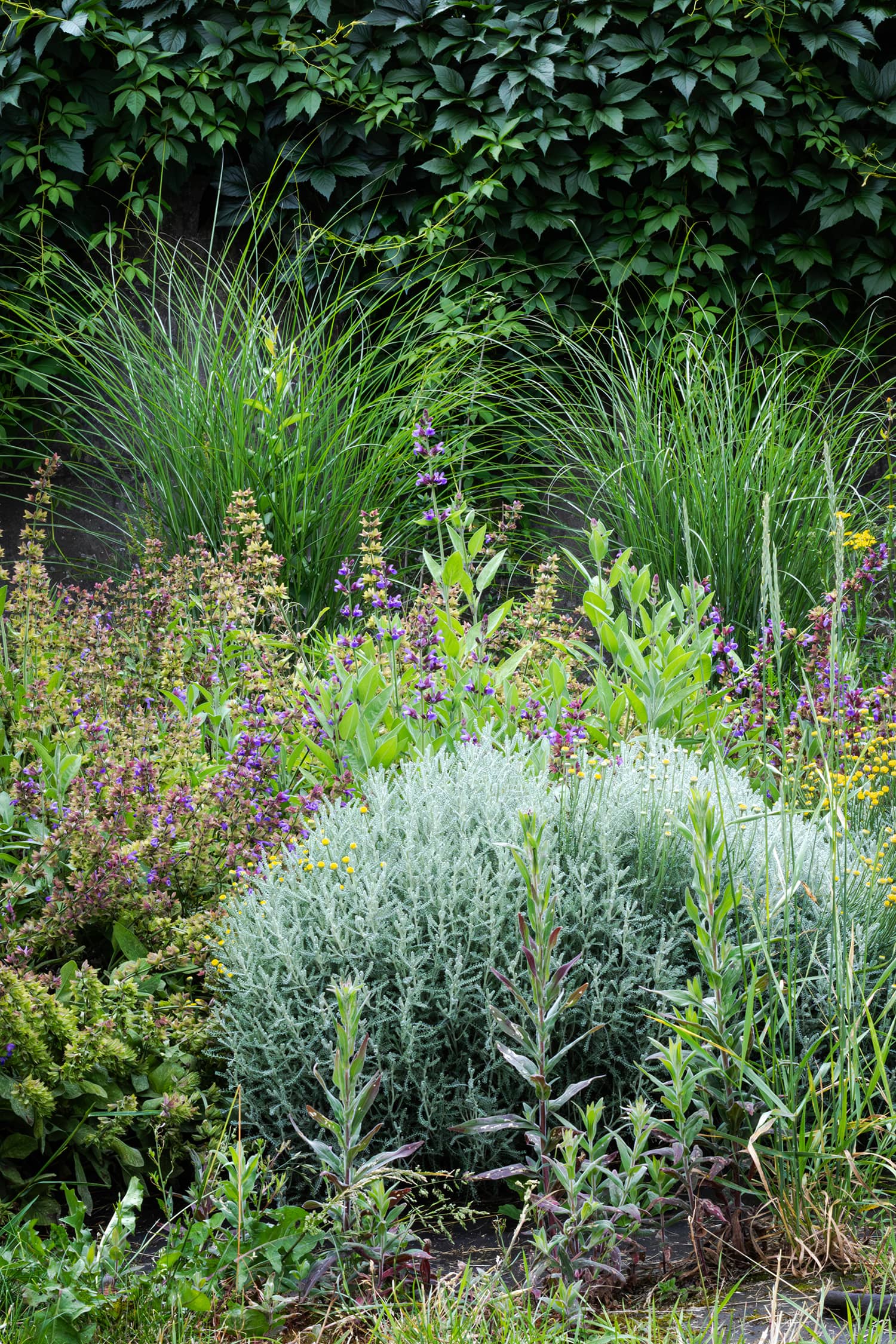 Piscine municipale Christine Caron Déville-lès-Rouen plantation paillage espaces verts