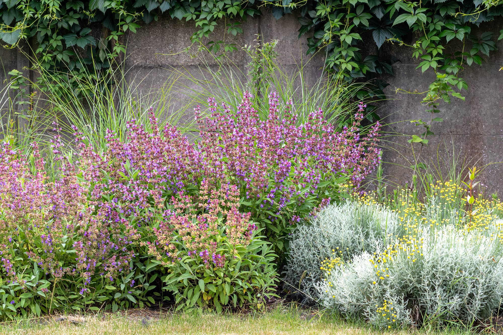 Recherche chef de chantier espaces verts