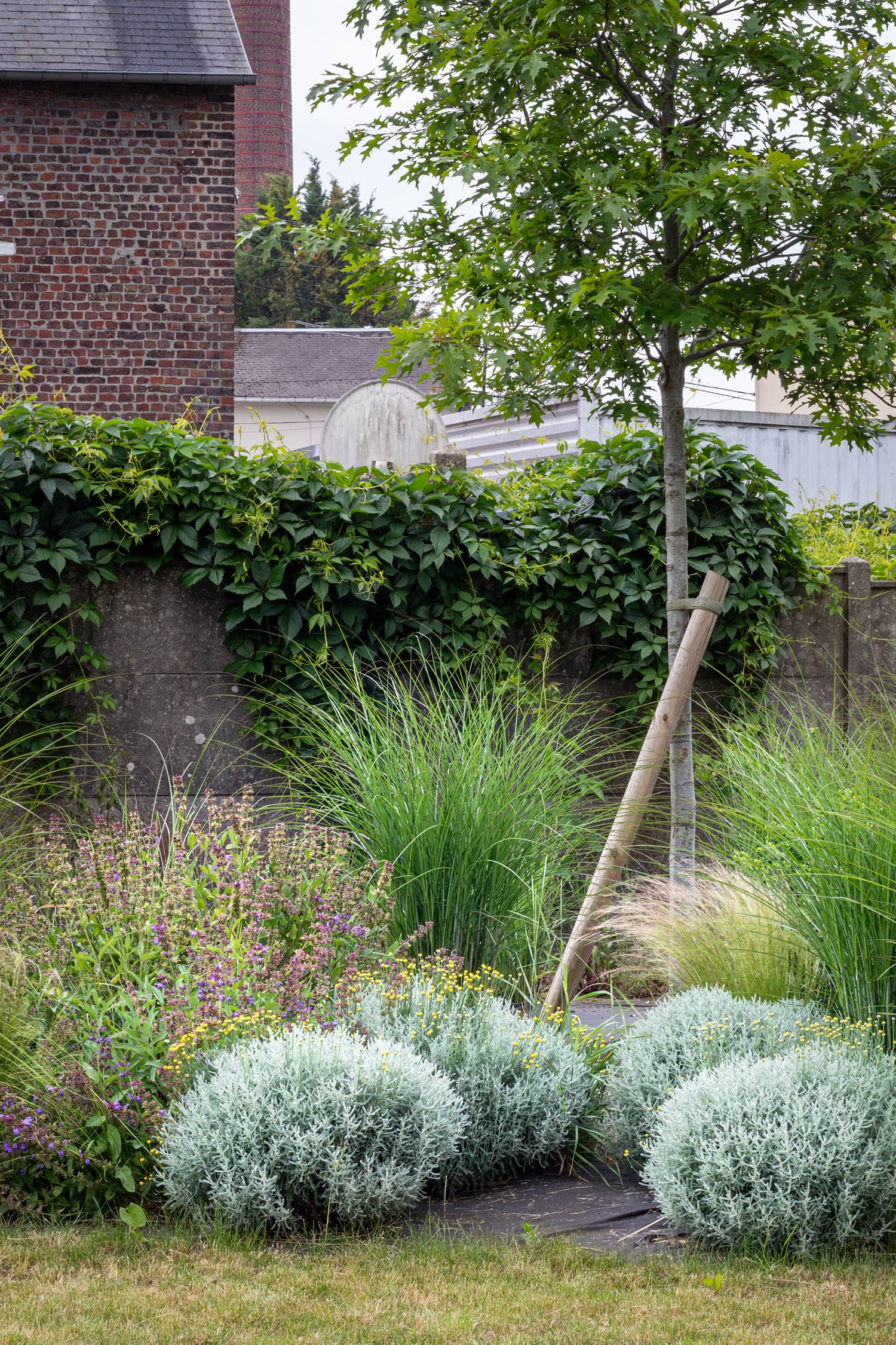 Piscine municipale Christine Caron Déville-lès-Rouen plantation paillage espaces verts