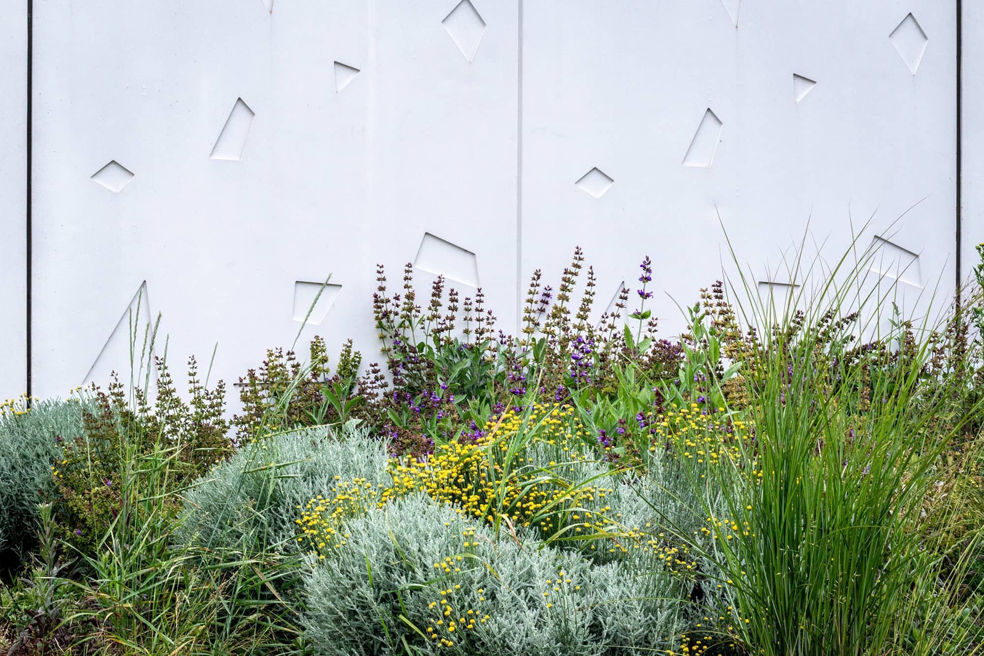 Piscine municipale Christine Caron Déville-lès-Rouen plantation paillage espaces verts