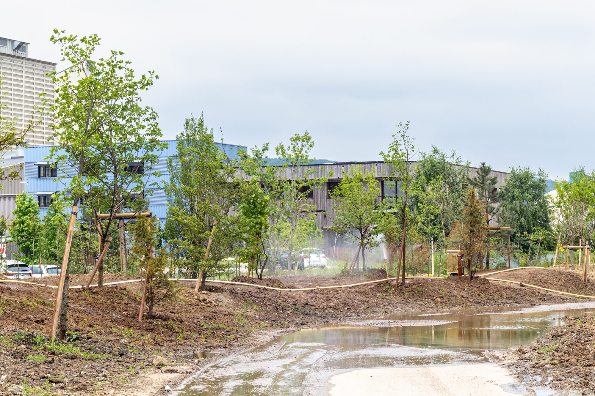 Grand Couronne Beuzelin plantation espaces verts