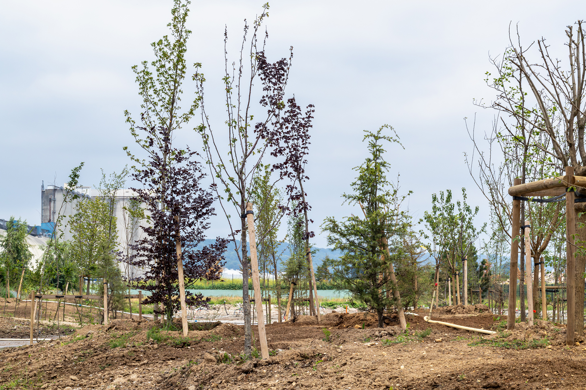 Grand Couronne Beuzelin plantation espaces verts