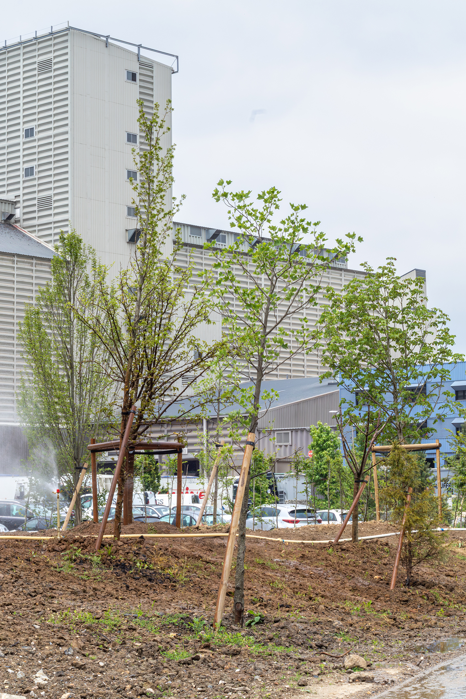 Grand Couronne Beuzelin plantation espaces verts