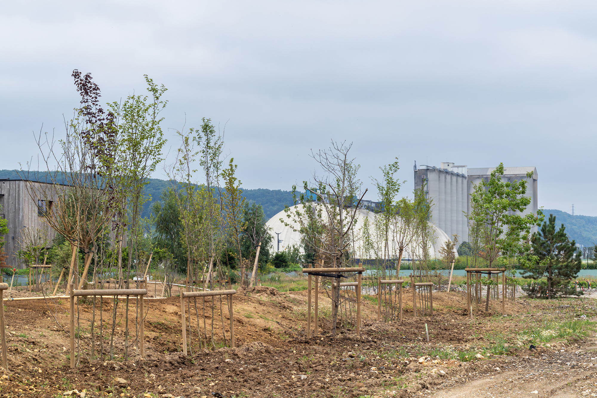 Grand Couronne Beuzelin plantation espaces verts