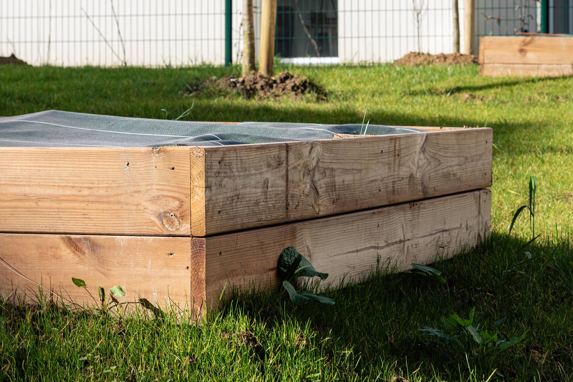 Sotteville-lès-Rouen, Rue Raspail