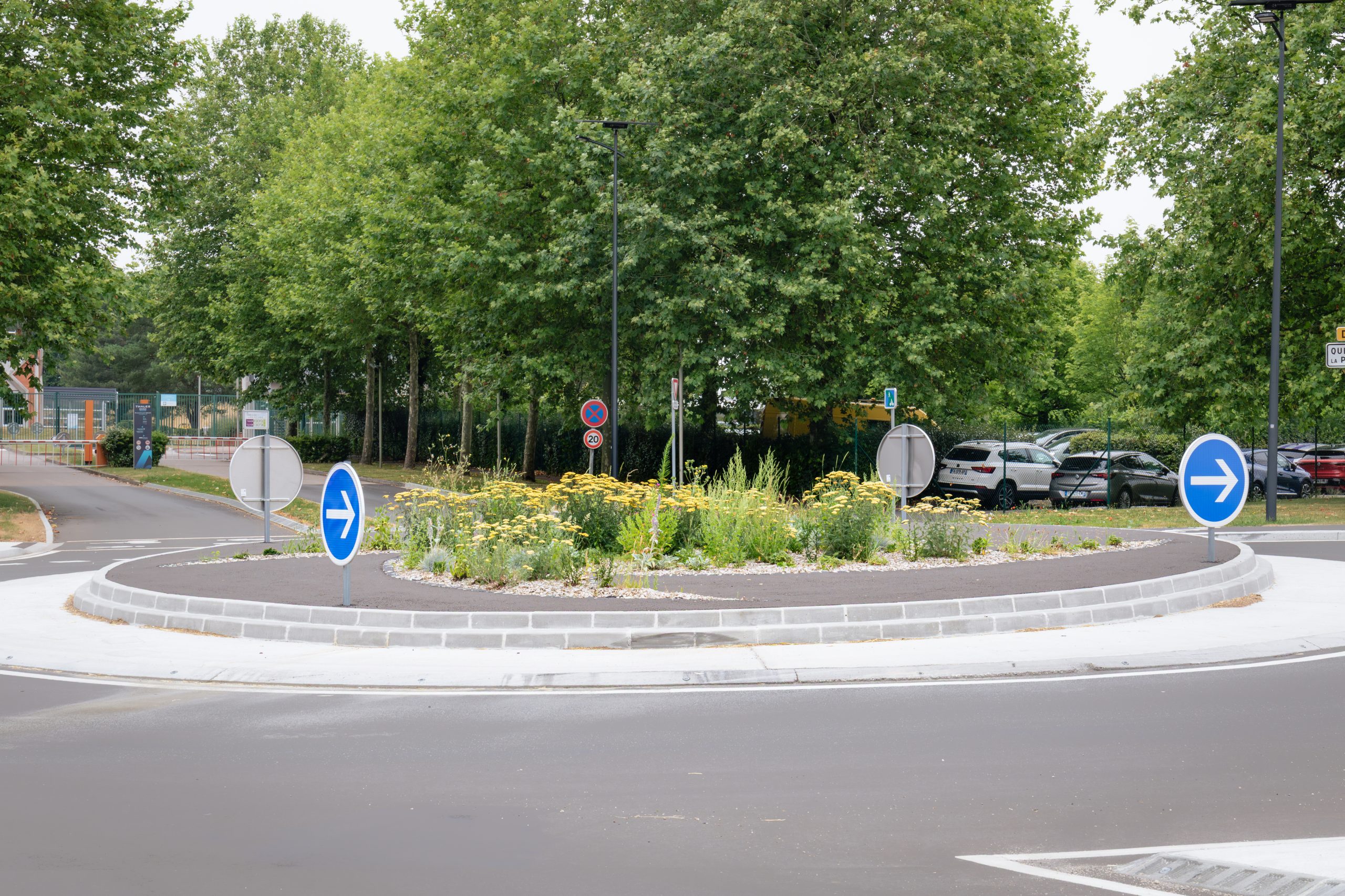Ymare Quévreville-la-Poterie plantation